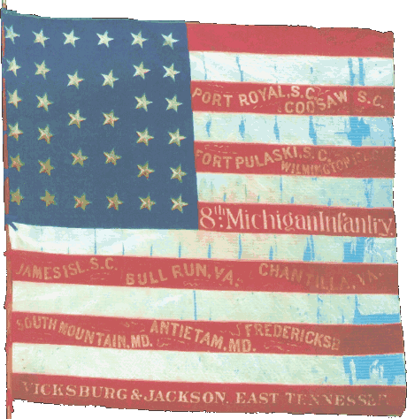 8th Michigan Flag